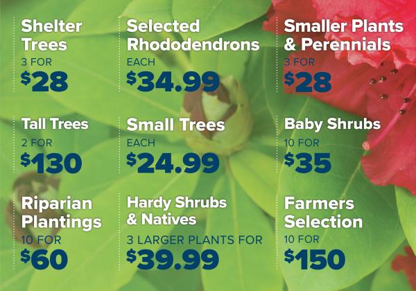 BMN 25149 Annual Sale Prices Website 1285W 2